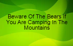 beware of bears