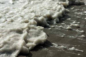 Sea Foam 