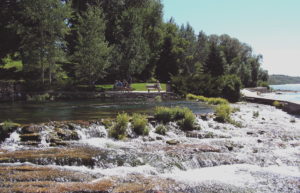 Montana State Campground - Giant Springs State Park - State Campgrounds in Montana
