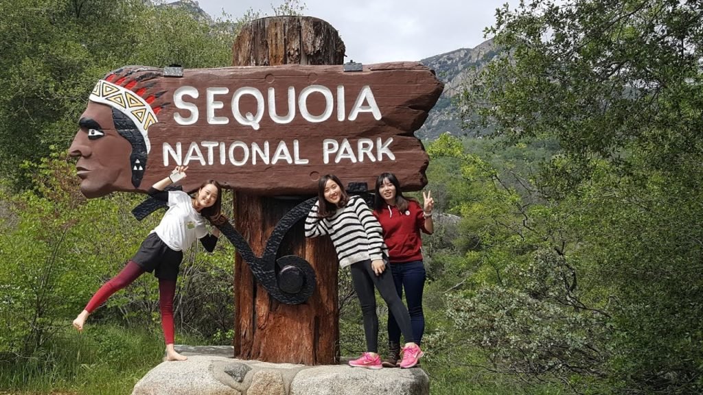 Sequoia National Park: Giant Forest Museum, General Sherman Tree, Paradise Creek Trail