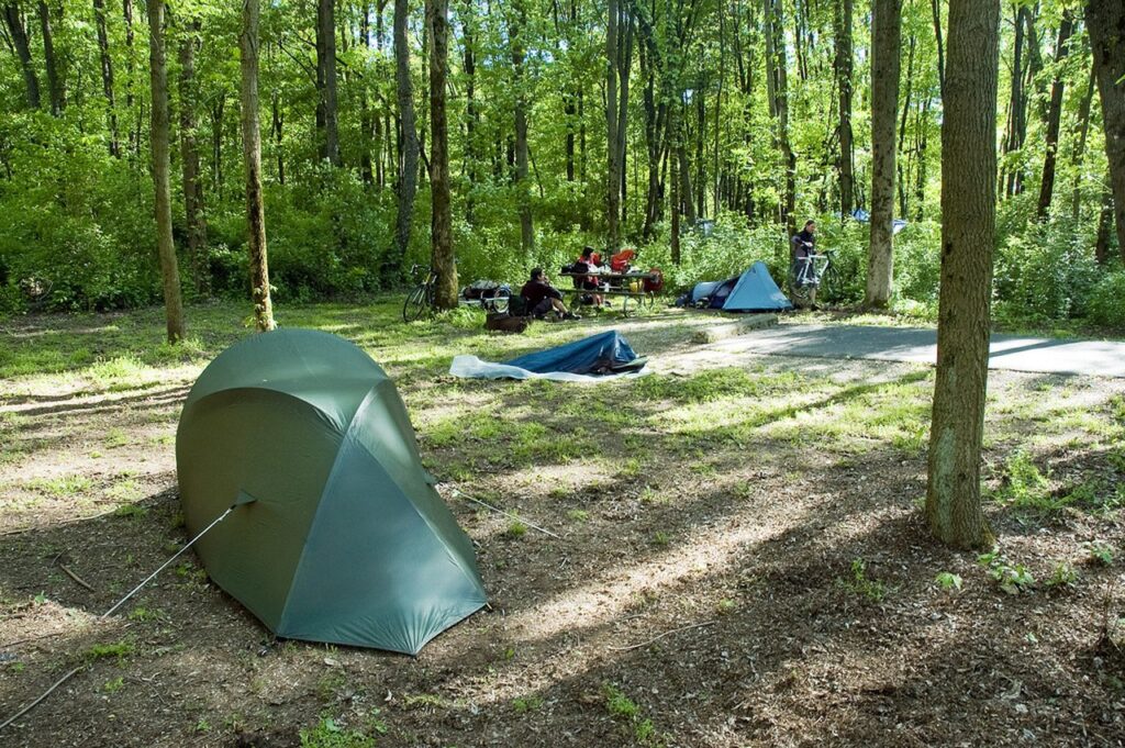 Top 10 Spots: Where to Camp in Ohio South Bass Island State Park