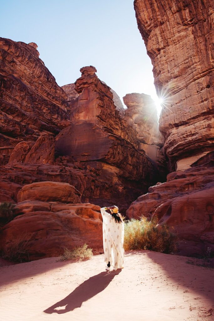 a cow standing in the middle of a desert