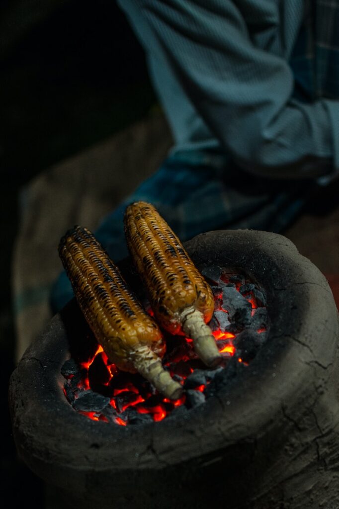 Campfire cooking sweetcorn on charcoal