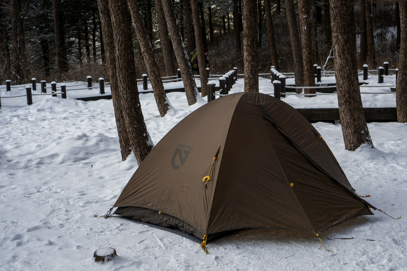 Conquer the Outdoors in Style: Most Popular Backpacking Tent Styles