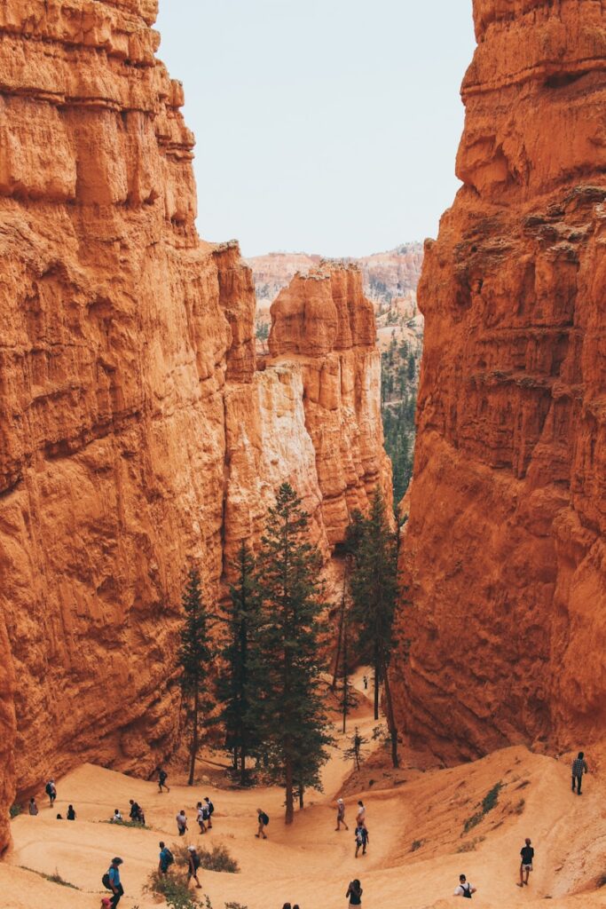 bryce canyon beginner trails, best hikes in bryce canyon for beginners, easy bryce canyon hikes, beginner hikes bryce canyon, bryce canyon hiking guide