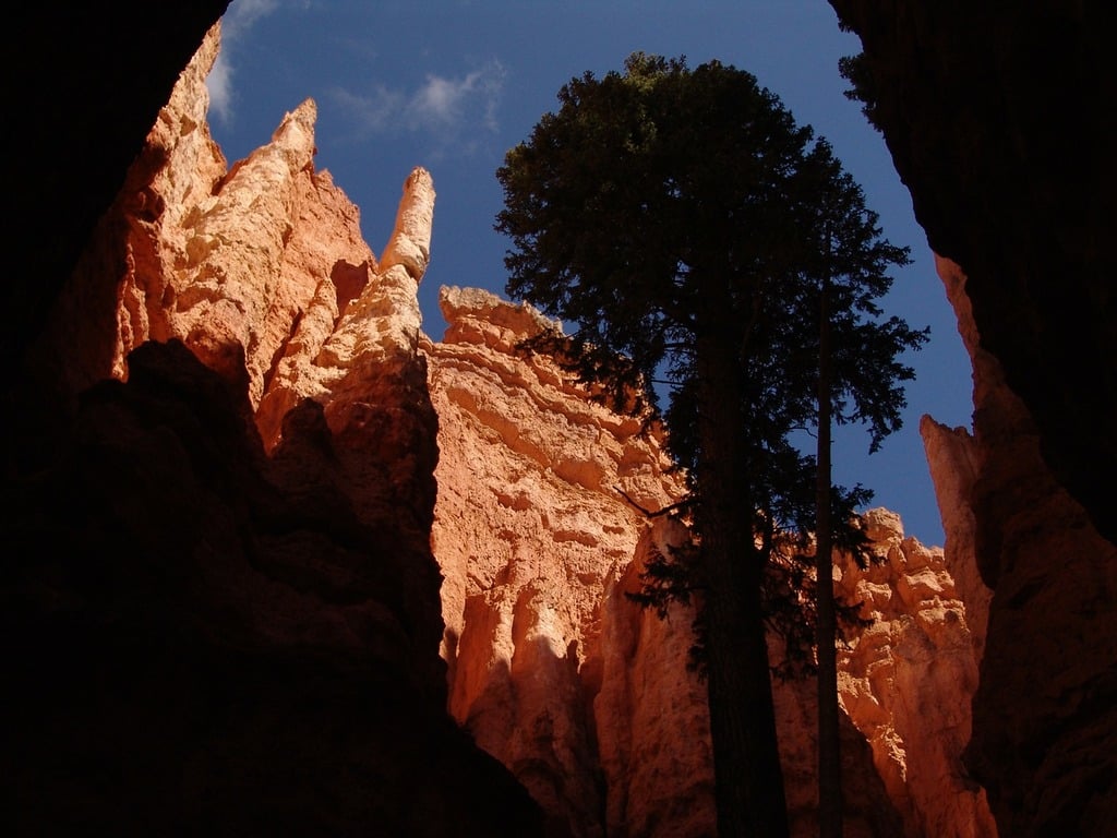 hidden trails of Bryce Canyon, secret hikes Bryce Canyon, quiet trails in Bryce Canyon, Bryce Canyon off the beaten path, where to avoid crowds in Bryce Canyon