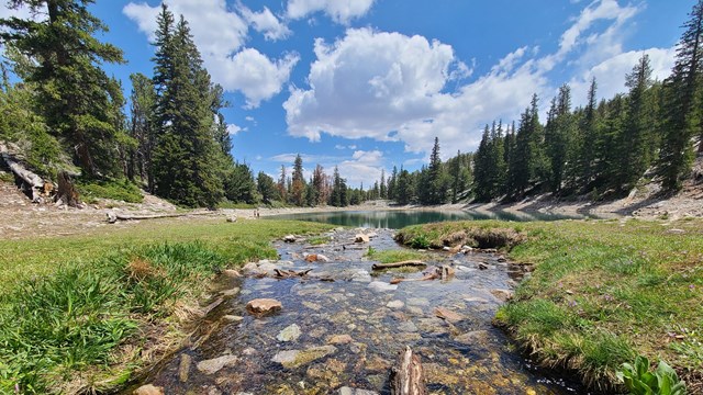 best campgrounds for stargazing, family stargazing camping, dark sky camping destinations, kid-friendly campgrounds USA, night sky camping tips